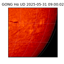 gong - 2025-05-31T09:00:02