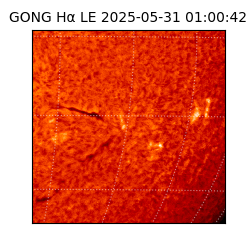 gong - 2025-05-31T01:00:42