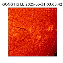 gong - 2025-05-31T03:00:42