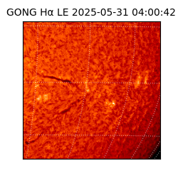 gong - 2025-05-31T04:00:42