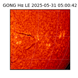 gong - 2025-05-31T05:00:42