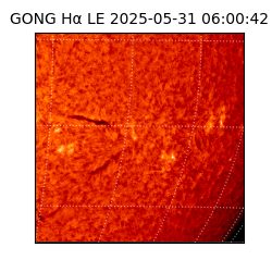 gong - 2025-05-31T06:00:42