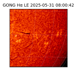 gong - 2025-05-31T08:00:42