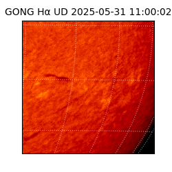 gong - 2025-05-31T11:00:02