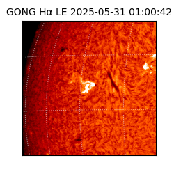gong - 2025-05-31T01:00:42