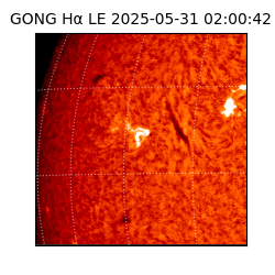 gong - 2025-05-31T02:00:42