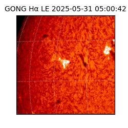 gong - 2025-05-31T05:00:42