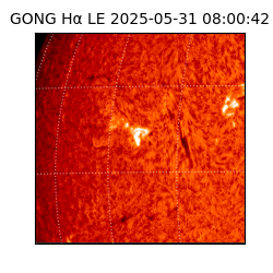 gong - 2025-05-31T08:00:42