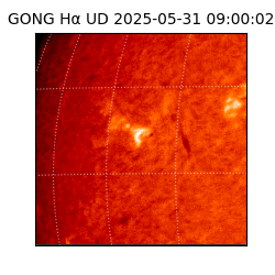 gong - 2025-05-31T09:00:02