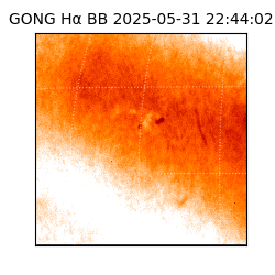 gong - 2025-05-31T22:44:02