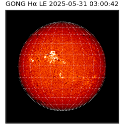 gong - 2025-05-31T03:00:42