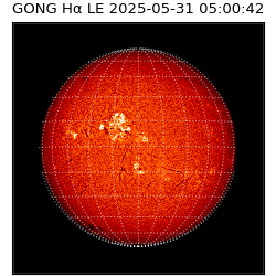 gong - 2025-05-31T05:00:42