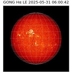 gong - 2025-05-31T06:00:42