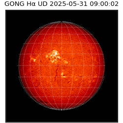 gong - 2025-05-31T09:00:02