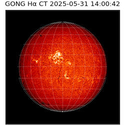 gong - 2025-05-31T14:00:42