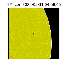shmi - 2025-05-31T04:58:45
