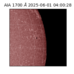 saia - 2025-06-01T04:00:28.719000