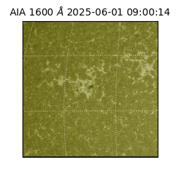 saia - 2025-06-01T09:00:14.126000