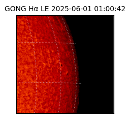 gong - 2025-06-01T01:00:42