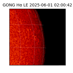 gong - 2025-06-01T02:00:42
