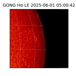 gong - 2025-06-01T05:00:42