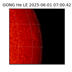 gong - 2025-06-01T07:00:42