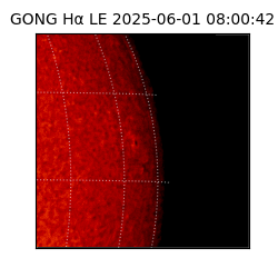gong - 2025-06-01T08:00:42
