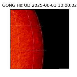 gong - 2025-06-01T10:00:02