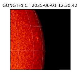 gong - 2025-06-01T12:30:42