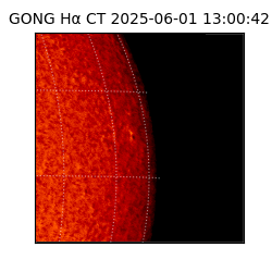 gong - 2025-06-01T13:00:42