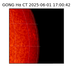 gong - 2025-06-01T17:00:42