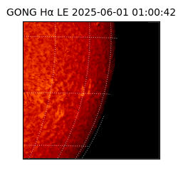 gong - 2025-06-01T01:00:42
