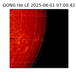 gong - 2025-06-01T07:00:42