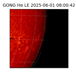 gong - 2025-06-01T08:00:42