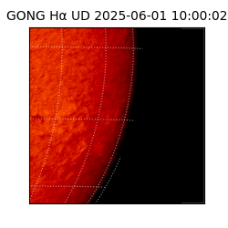gong - 2025-06-01T10:00:02