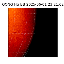 gong - 2025-06-01T23:21:02