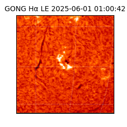 gong - 2025-06-01T01:00:42