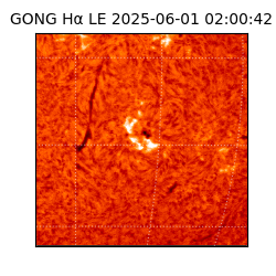 gong - 2025-06-01T02:00:42