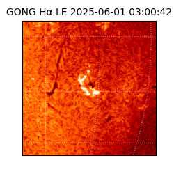 gong - 2025-06-01T03:00:42