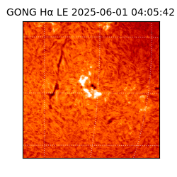 gong - 2025-06-01T04:05:42