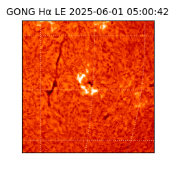 gong - 2025-06-01T05:00:42