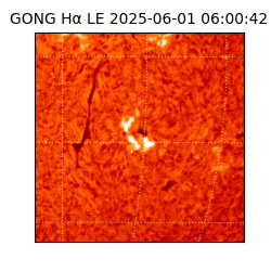 gong - 2025-06-01T06:00:42