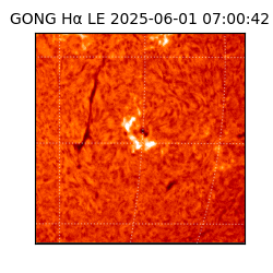 gong - 2025-06-01T07:00:42