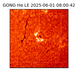 gong - 2025-06-01T08:00:42