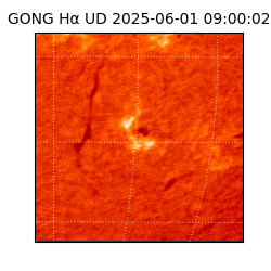 gong - 2025-06-01T09:00:02