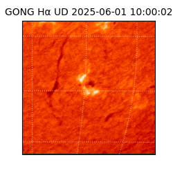 gong - 2025-06-01T10:00:02