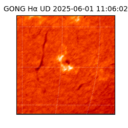 gong - 2025-06-01T11:06:02
