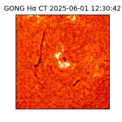 gong - 2025-06-01T12:30:42