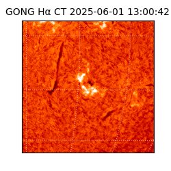 gong - 2025-06-01T13:00:42