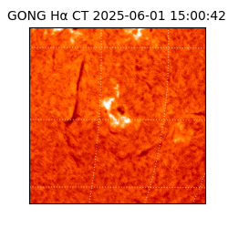 gong - 2025-06-01T15:00:42